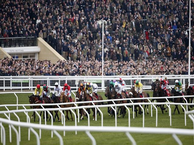 The stands will be packed by the time the Triumph Hurdle gets underway